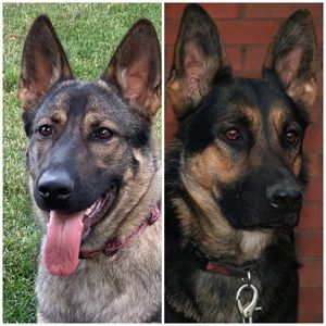 Meet your Posher, Clark